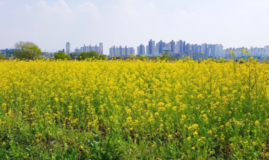 Gokgyocheon Citizens Sports Park